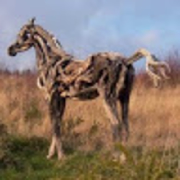 Meet your Posher, Else - Picture 1 of 1